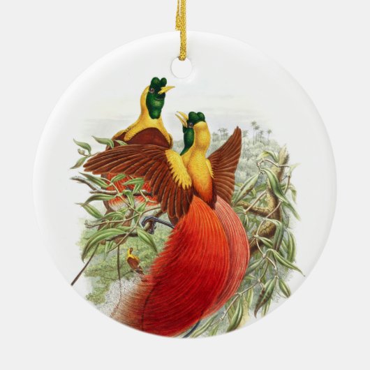 Loddigesia Mirabilis Keramisch Ornament (Achterkant)