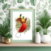 Loddigesia Mirabilis Poster