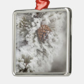 Lodgepole Pine cone in de winter in geelsteen Metalen Ornament (Links)