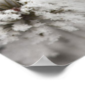 Lodgepole Pine cone in de winter in geelsteen Poster (Hoek)