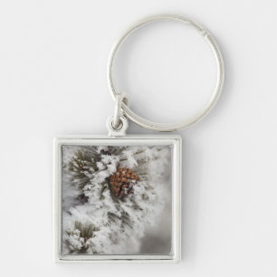 Lodgepole Pine cone in de winter in geelsteen Sleutelhanger