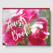 Lodovica Gastenboek (Voorkant)