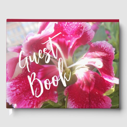 Lodovica Gastenboek (Voorkant)