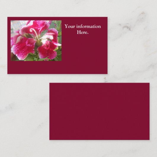 Lodovica Visitekaartje (Voorkant / Achterkant)