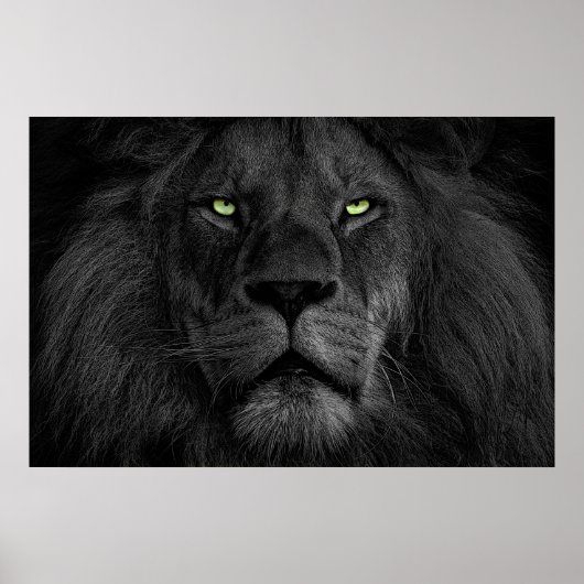 L'oeil du lion poster (Voorkant)