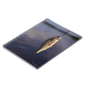 loervisserij voor het water notitieboek (Linkerzijde)