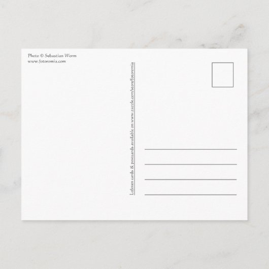 Lofoten Islands Norway Briefkaart (Achterkant)