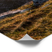 Lofoten Islands Norway Poster (Hoek)