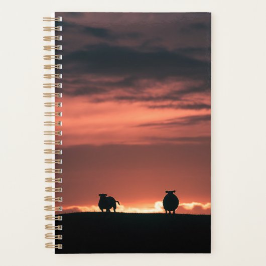 Lofoten Islands Sheep Planner (Voorkant)