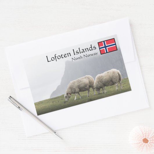 Lofoten Islands Sheep Rechthoekige Sticker (Envelop)