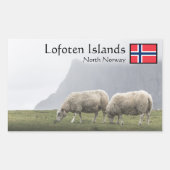 Lofoten Islands Sheep Rechthoekige Sticker (Voorkant)