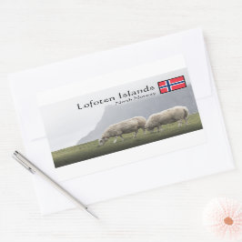 Lofoten Islands Sheep Rechthoekige Sticker