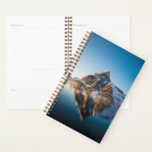 Lofoten Mountain Planner (Display)
