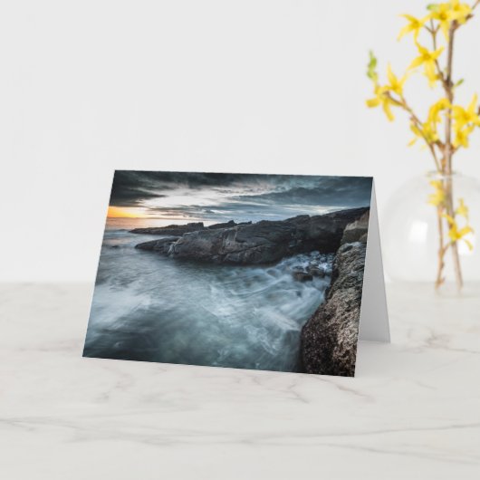 Lofoten Noorwegen Kaart (Gele Bloem)