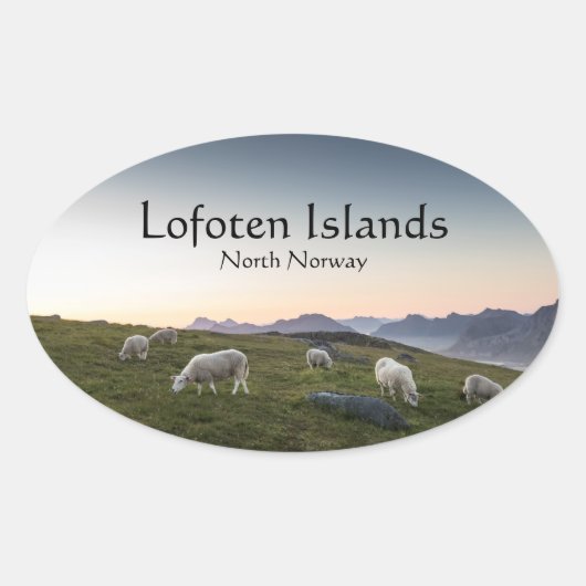Lofoten Norway Sheep Ovale Sticker (Voorkant)