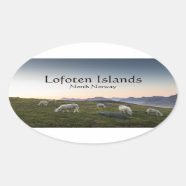 Lofoten Norway Sheep Ovale Sticker