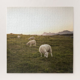 Lofoten Sheep Natuur Foto Legpuzzel