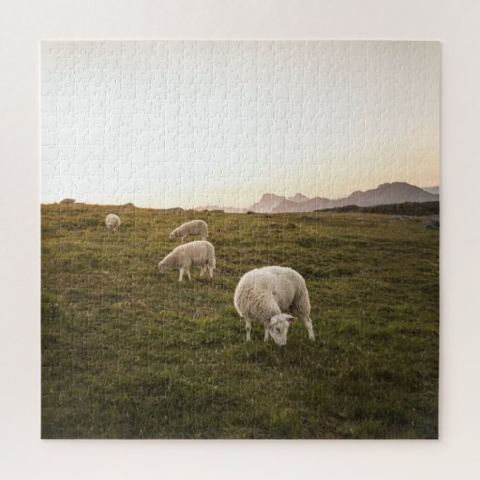 Lofoten Sheep Natuur Foto Legpuzzel (Verticaal)