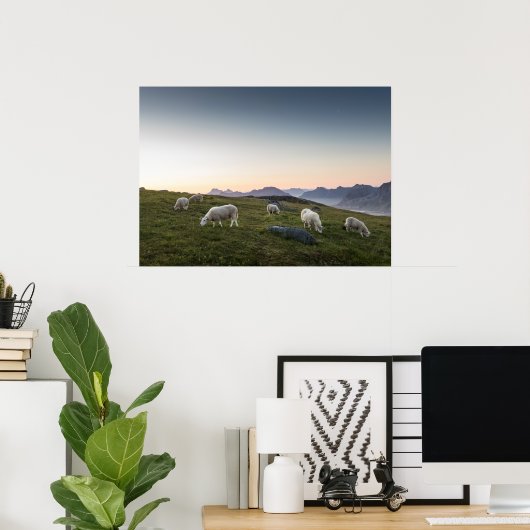 Lofoten Sheep Poster (Thuiskantoor)