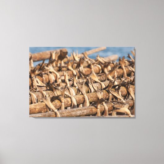 Lofoten Stockvis Canvas Afdruk (Voorkant)