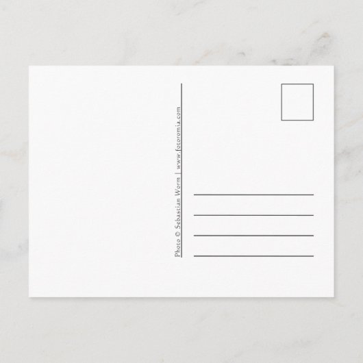 Lofoten Vist het dorp Hamnoya Feestdagenkaart (Achterkant)