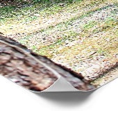 Log Cabin Poster (Hoek)