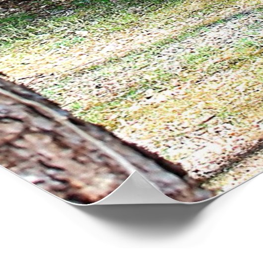 Log Cabin Poster (Hoek)