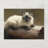 Log Lounger Siamese Kitten Briefkaart (Voorkant)