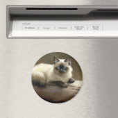 Log Lounger Siamese Kitten Magneet (Insitu (Vaatwasser))