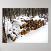 Log Pile in the Woods Poster (Voorkant)
