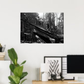 LOG RIJGING in de REDWOODS c. 1890 Poster (Thuiskantoor)