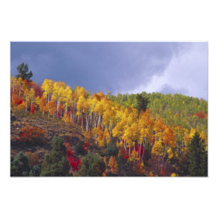 Logan Canyon in Utah in de herfst met passerend Foto Afdruk
