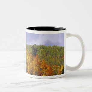 Logan Canyon in Utah in de herfst met passerend Tweekleurige Koffiemok