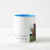 Logan en Kingston Colorado Springs Mok (Midden)