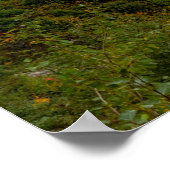 Logan Pass Glacier National Park Panorama Print (Hoek)