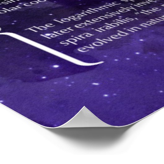 Logarithmic Spiral Poster (Hoek)