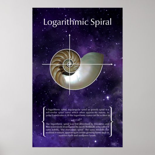 Logarithmic Spiral Poster (Voorkant)