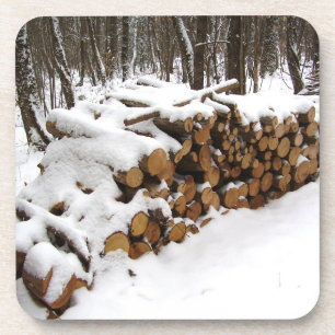Logbestand in het Bos Hard plastic Onderzetter