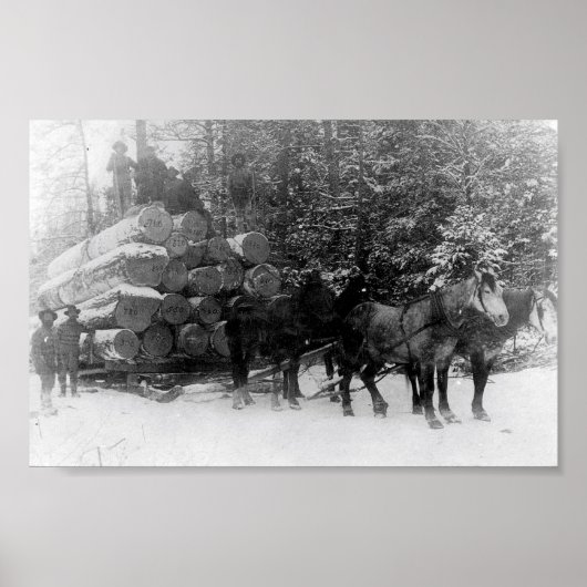 Logblad Poster (Voorkant)