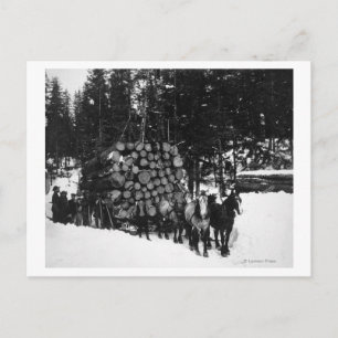 Logboeken die door een team van paarden op een sle briefkaart