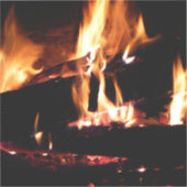 Logboeken in de vuurfoto van de Fireplace Sticker (Voorkant)