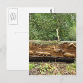 logboekregistratie briefkaart (Voorkant / Achterkant)
