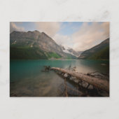 Logboekregistratie Briefkaart (Voorkant)