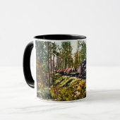 Logboektrein in Iron Mountain, Michigan Mok (Voorkant links)