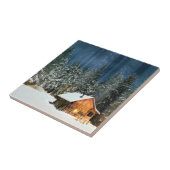 Logcabine Tegeltje (Zijkant)