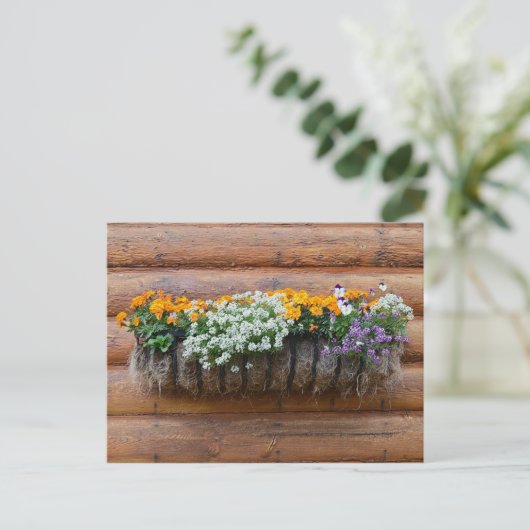 Logcabine van bloem van aanloopplanter briefkaart (Staand voorkant)