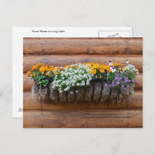 Logcabine van bloem van aanloopplanter briefkaart (Voorkant / Achterkant)