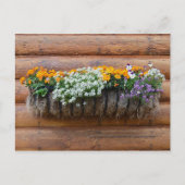 Logcabine van bloem van aanloopplanter briefkaart (Voorkant)