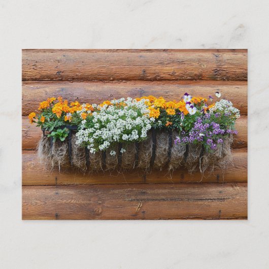 Logcabine van bloem van aanloopplanter briefkaart (Voorkant)