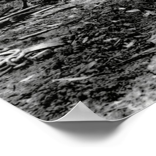 LOGGEN MET STEAM DONKEY c. 1879 Poster (Hoek)